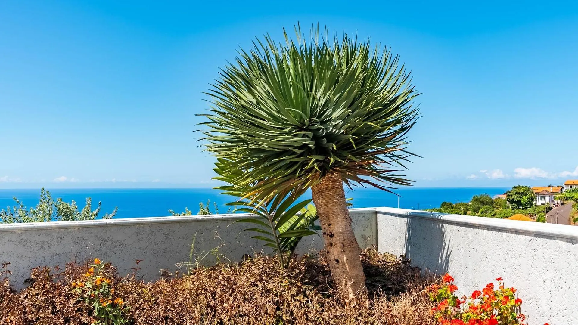 Villa Pinheira IV -Heated Swimming Pool And Jacuzzi Calheta  Portugal